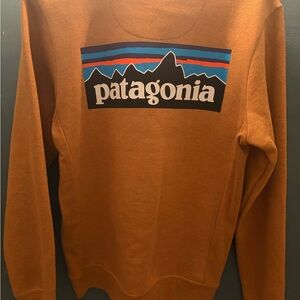 Patagonia Women's Brown Crewneck Sweater
